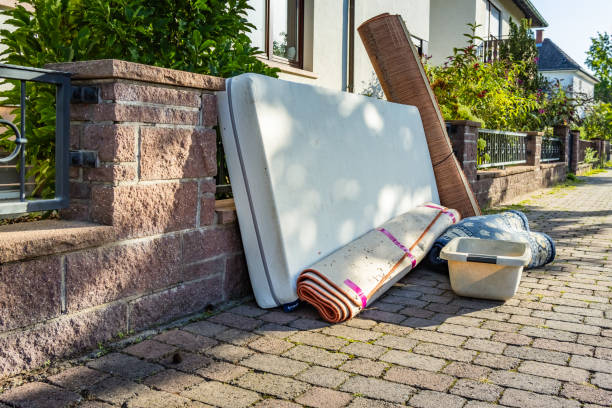 Yard Cleanup Services in Newark, TX